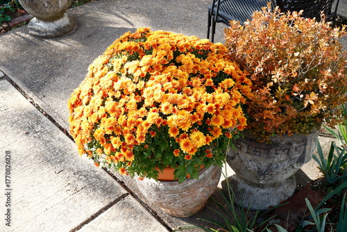 Fall Themed Outdoor Flowerpots