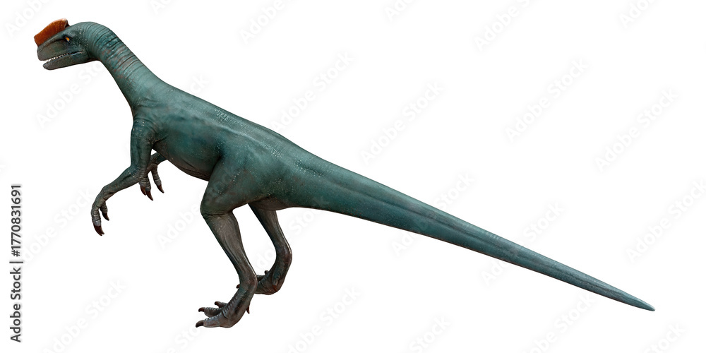Obraz premium Blue dinosaur walking with a reddish crest.