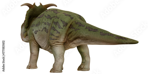 Carta da parati Realistic Triceratops dinosaur toy on white background.