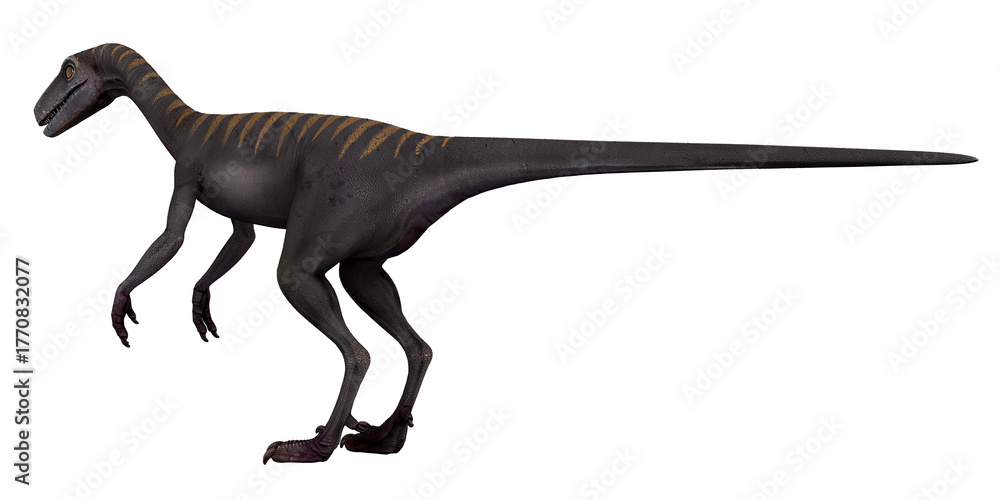 Fototapeta premium Realistic rendering of a Velociraptor dinosaur.