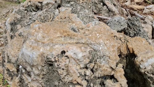crystallized karst rock texture motifs, limestone, coral rock motifs