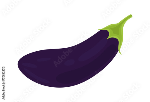 Eggplant vegetable for cooking meals. Whole eggplant brinjal aubergine in cartoon style. Fresh and ripe vegetarian food isolated on white background. Colored flat vector illustration
