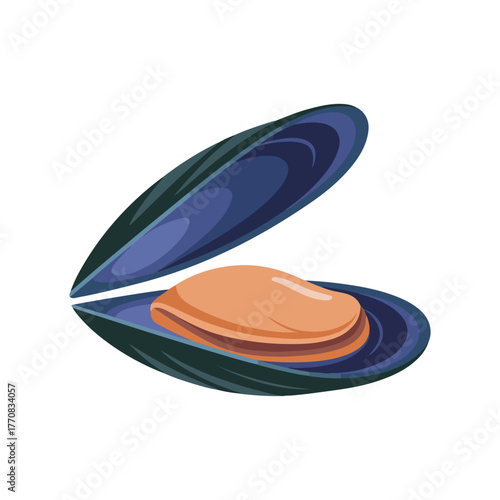 open blue mussel shell with white interior