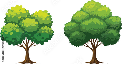 Two lush green trees illustration with dense foliage, natural forest design, summer season vegetation for landscape, nature, and eco projects