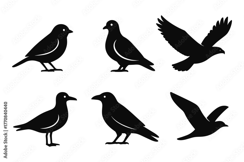 Obraz premium Set of bird silhouettes featuring various flying and standing poses