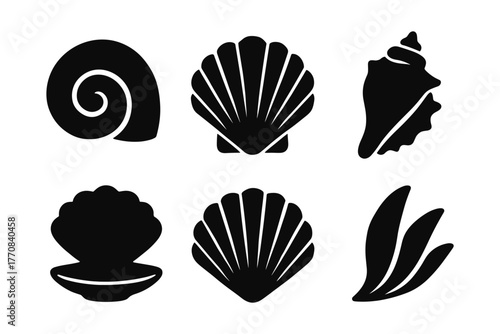 Silhouette seashell icons collection: nautical ocean elements