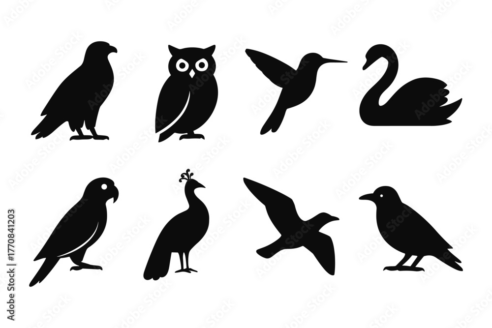 Obraz premium Silhouette collection of birds featuring owl, hummingbird, swan, and more