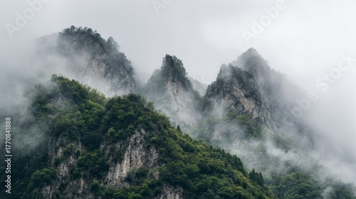 Province mountains covered in mist rise above dense green trees.