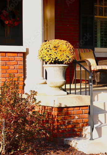 Potted Yellow Mums on Porch
