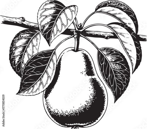 Pear on a branch with leaves