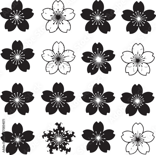 Collection of cherry blossom flowers