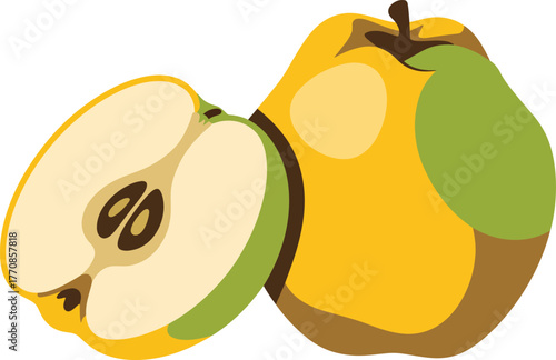 Yellow Quince Fruit Whole and Half Cut Vector Illustration
