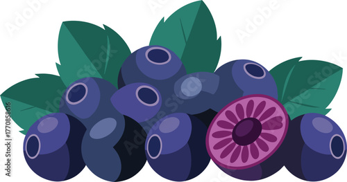 Fresh Blueberry Berries with Green Leaves Organic Summer Fruit Vector Illustration