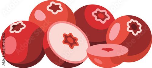 Fresh Cranberries Whole and Halved Vector Illustration Healthy Berry Fruit Design