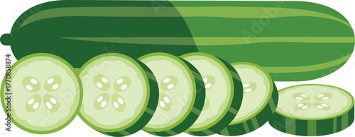 Fresh Cucumber Whole and Sliced Vector Illustration Green Vegetable Food Design