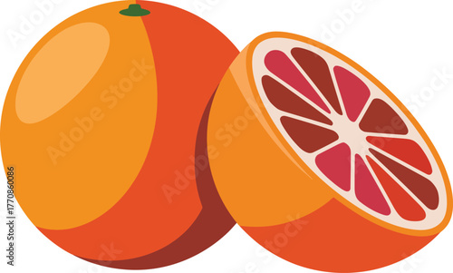 Fresh whole and sliced blood orange fruit vector illustration