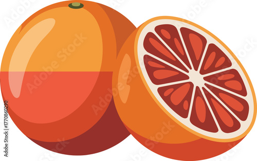Fresh whole and sliced blood orange fruit vector illustration