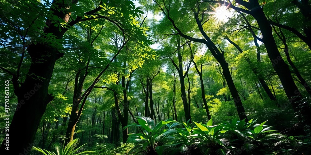Fototapeta premium Lush green canopy, sunlight dappling forest floor, vibrant vegetation, detail, pattern