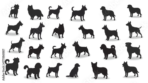 Collection of dog breed silhouettes isolated on white background