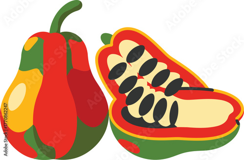Vibrant papaya fruit whole and sliced tropical produce detailed vector illustration