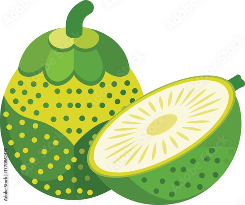 Whole and half green exotic tropical fruit with seeds vector illustration