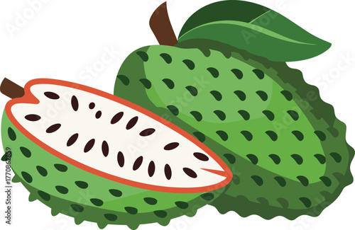 Whole and Half Soursop Fruit Vector Illustration