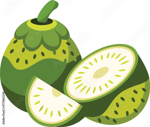 Whole and sliced green exotic tropical fruit with seeds vector illustration