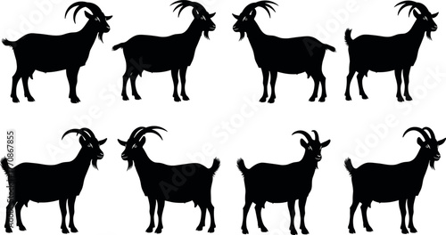 Black goat silhouette set featuring various horn shapes, body postures, tail positions, and walking stances for farm animal design themes.