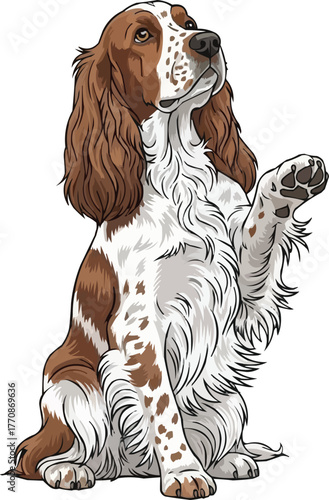 French Spaniel dog sitting raising paw cute vector illustration