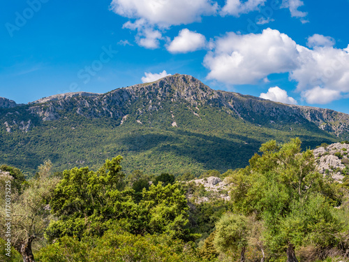 Serra de Tramuntana, Mallorca, picturesque mountain range with lush greenery under a bright blue sky, dotted with fluffy white clouds, Majorca