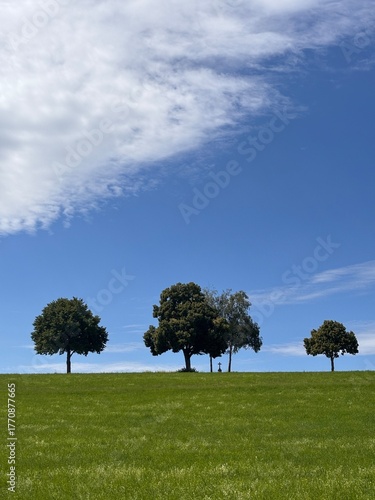 Peaceful Countryside Panorama with Lush Green Pasture, Tree Line, Blue Sky, White Clouds, and Small Cross in Nature