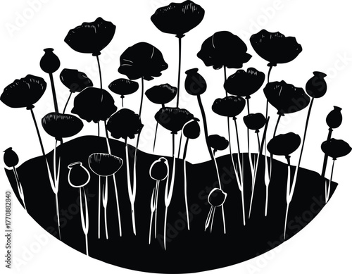 Poppy Blooms in Vineyard Hill Silhouette | Blooming Vineyard Countryside Scene