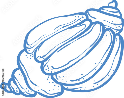 Elegant blue line art illustration of a seashell in minimal style. Nautical decorative vector for beach prints, coastal wall art, resort design, summer pattern, or marine logo.