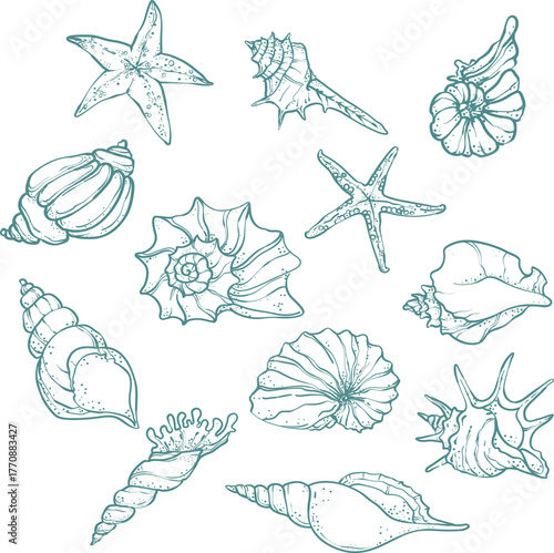 Stylish blue line art set of sea elements starfish, shell, . Minimal nautical vector illustration for beach prints, summer decor, and coastal design projects.