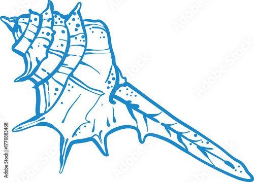 Elegant blue line art illustration of a seashell. Minimalistic marine design with smooth curves and dotted texture.