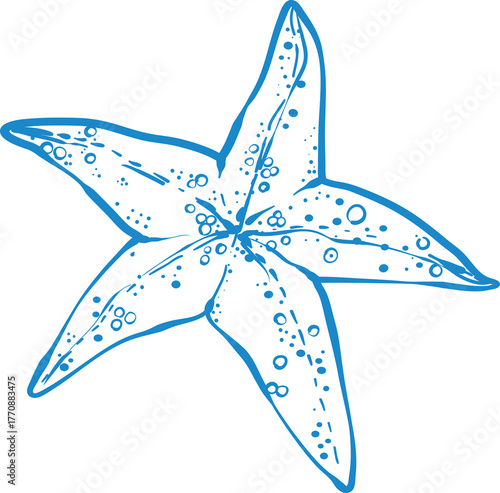 Minimal line art starfish illustration, blue marine vector design
