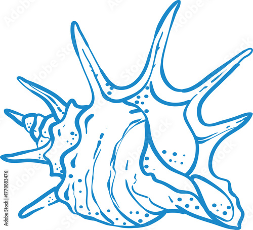 Elegant blue line art illustration of a seashell. Minimalistic marine design with smooth curves and dotted texture. Perfect for beach decor, nautical themes, logos, and summer prints.