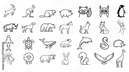 Collection of hand drawn line art illustrations of diverse animals from around the world including mammals birds and marine life