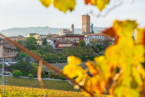 Picturesque Langhe Countryside with Vineyards and Historic Architecture
