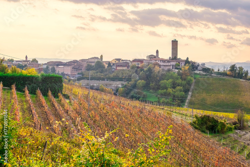 Picturesque Langhe Countryside with Vineyards and Historic Architecture