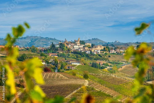 Picturesque Langhe Countryside with Vineyards and Historic Architecture