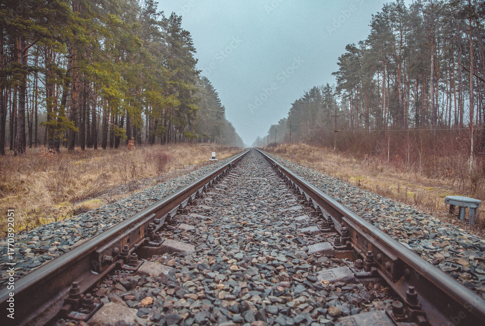 Fototapeta premium Empty railway track stretching into the fog through a forest in early spring. Misty atmosphere and earthy tones create a sense of distance and solitude