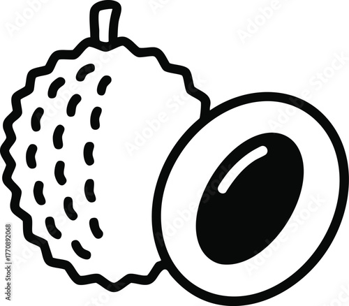 vector illustration of a lice fruit