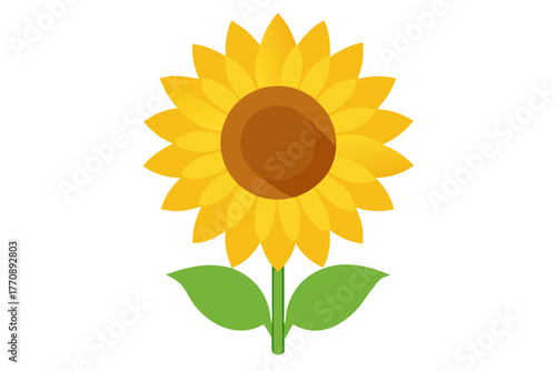 A sunflower