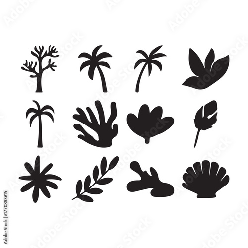 Black silhouette collection of tropical plants and seashells on white background