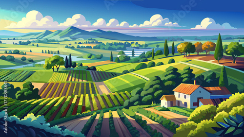 Very beautiful aerial shot of a gorgeous summer landscape at a vineyard in Braselton, Georgia, USA, showing miles of lush green trees, grass, and plants under a blue sky with soft white clouds.