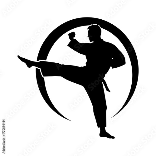 Silhouette of a karateka performing a side kick within a circular emblem