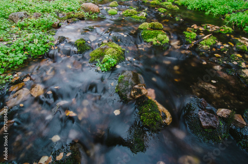 Mossy Stream Flowing Through Forest in Lapland, Finland
