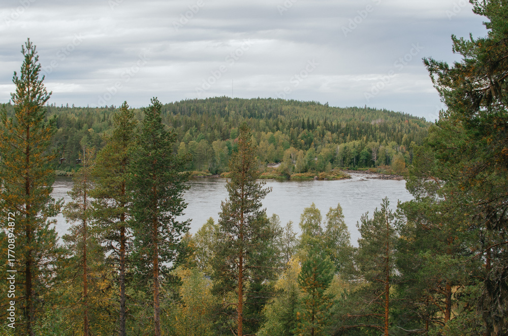 Obraz premium Forest River Landscape in Lapland, Finland