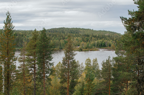 Forest River Landscape in Lapland, Finland
